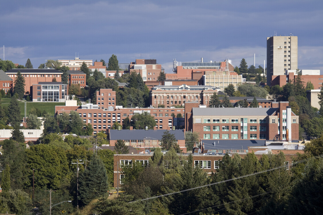 Washington State University, exterior view